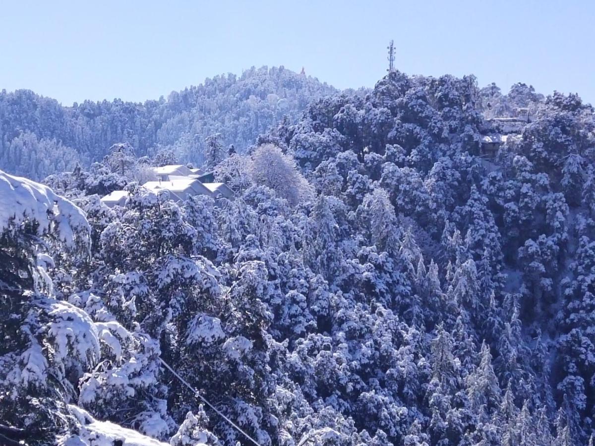 Dhanlaxmi Apartments Shimla Exterior photo